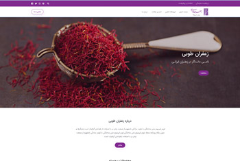 Web template